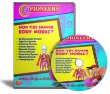 How the Human Body Works