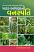 Padar Angnani Vanaspati Gujarati book