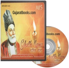 Ghalibnama MP3 Song