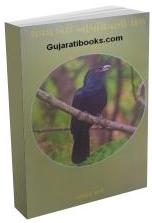 Koyal Bethi Ambaliya Ni Daal