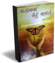 Patangiya Jevu Sapnu Patangiya Jevu Sapnu